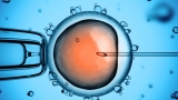 The Factors Affecting Fertility and How IVF Can Help